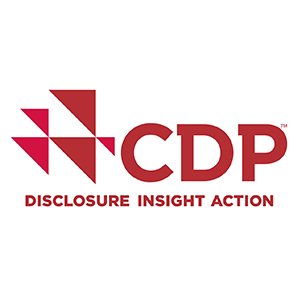 CDP — Disclosure Insight Action